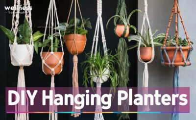 DIY Hanging Planters